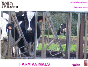 Screenshot of the resource Farm animals Screenshot of the resource Farm animals